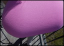 dscn9547.jpg