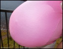 dscn9559.jpg