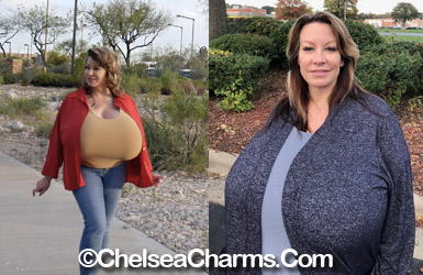 home [www.chelseacharms.com]