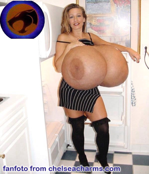 ccfridgekat.jpg